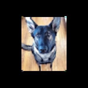 Meet your Posher, Malia